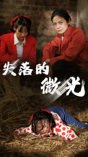 失落的微光（60集）短剧太好看了吧