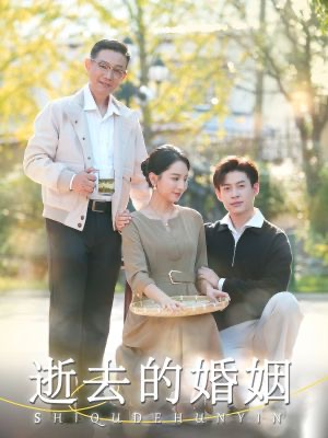 逝去的婚姻（60集）好看的短剧电影