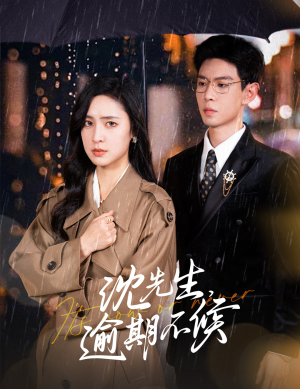 沈先生，逾期不候（75集）百万短剧抢先看