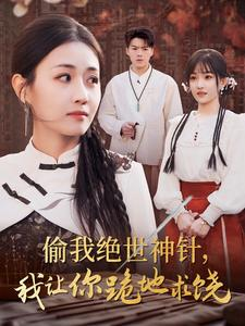 偷我绝世神针，我让你跪地求饶（30集）80到100集