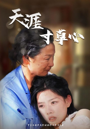 天涯寸草心（76集）精彩好看短剧
