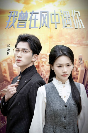 我曾在风中遇你（30集）第二季