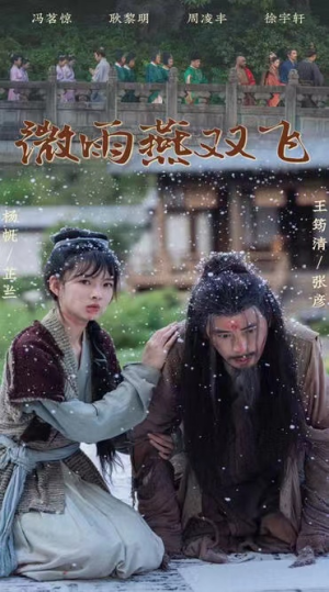 微雨燕双飞（60集）直接看到大结局