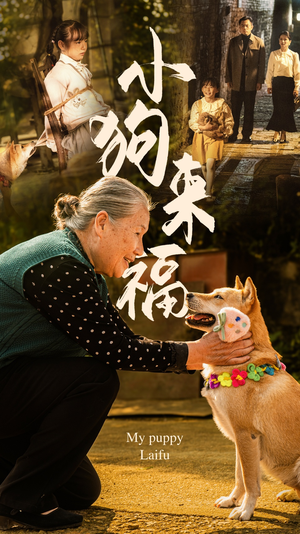 小狗来福（30集）追风的女孩短剧