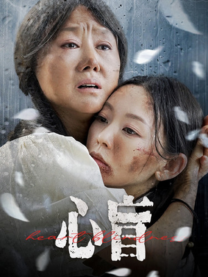 心盲（100集）免费版