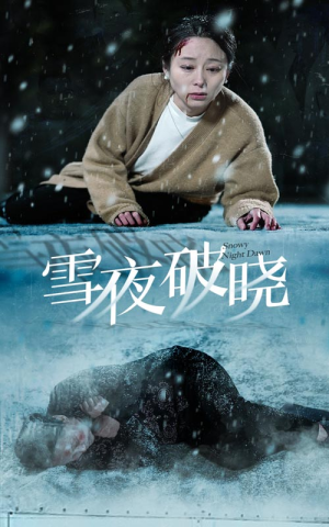 雪夜破晓（36集）精彩短剧看全集