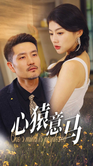 心猿意马（30集）精彩连连免费看