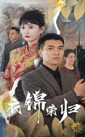 衣锦荣归（81集）短剧后续更精彩