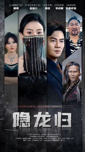 隐龙归（80集）热门短剧抢先