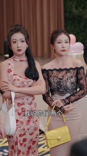 隐龙老爸风华绝代（64集）完整版