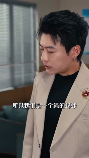 预谋（60集）简直不要太好看