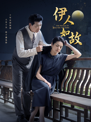 伊人如故（95集）解说