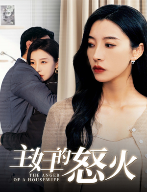 主妇的怒火（60集）女主谁演的