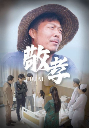 敬孝（61集）360网盘观看