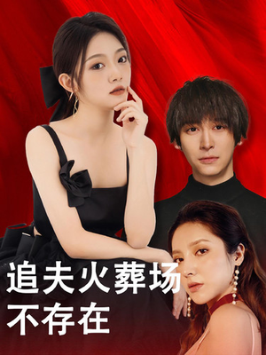 追夫火葬场不存在（100集）大结局一气呵成