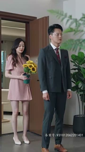 2.女主她一心只想搞事业（100集）河马免费短剧