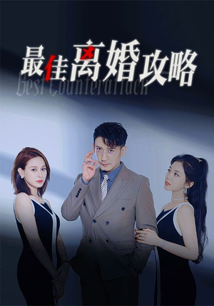 最佳离婚攻略（31集）常回家看看短剧