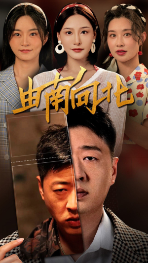 由南向北（88集）红果短剧看全集