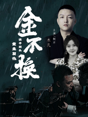 金不换（32集）精彩短剧免费看