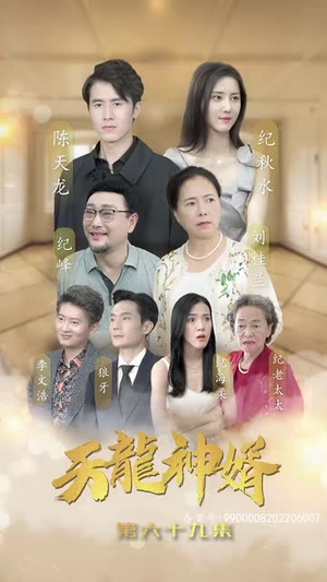 天龙神婿（80集）短剧排行榜