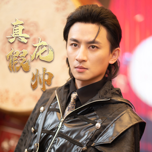 真假龙帅（81集）无需会员轻松看