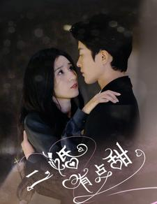 二婚有点甜（88集）火爆短剧抢先看