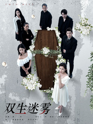 双生迷雾（80集）短剧热门合集
