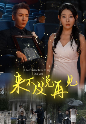 来不及说再见（30集）短剧追不停