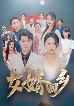 女婿回乡（120集）精彩短剧热播中