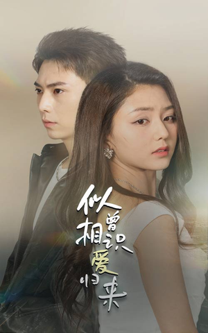 似曾相识爱归来（77集）在线观看