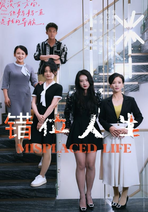 错位人生（89集）追短剧关注我