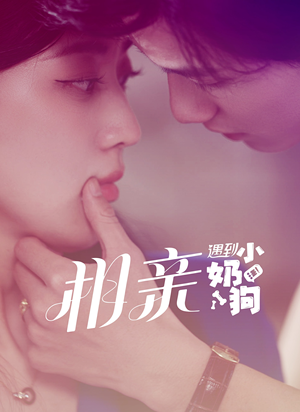 相亲遇到小奶狗（80集）在线播放