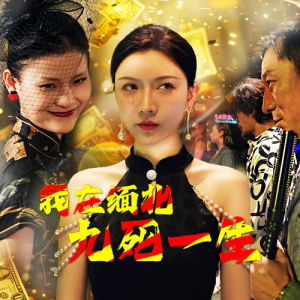 我在缅北九死一生（80集）在线观看全集