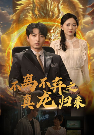 不离不弃之真龙归来（73集）温柔追捕短剧
