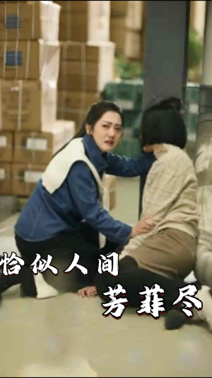 恰似人间芳菲尽（68集）最新上映免费看