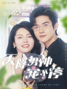 天降男神宠不停（100集）番茄免费短剧