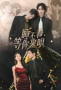 睡不着等你来哄（66集）免费版