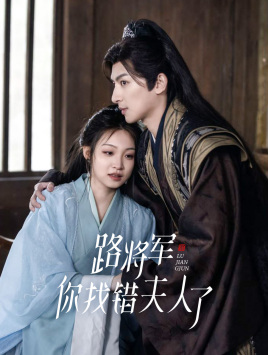 路将军，你找错夫人了（81集）热播短剧排行榜