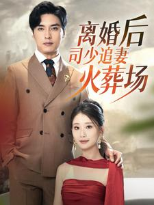 离婚后司少追妻火葬场（87集）在线播放