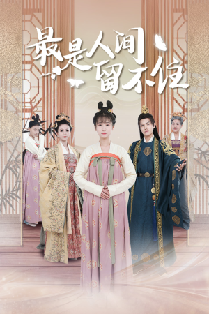 鬓从今夜白（71集）更新时间