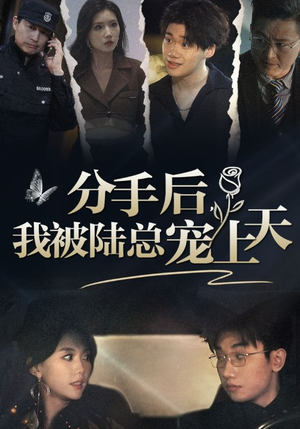 分手后，我被陆总宠上天（76集）精彩短剧下载