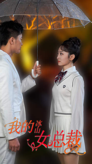 新版：我的冰山女总裁（78集）1-102集