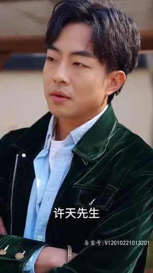 28.系统提示您的钱已到账（100集）免费看