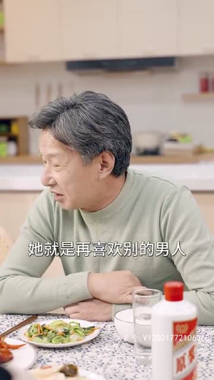 偷不走的爱与光（96集）热播古装短剧