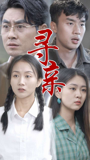 寻亲（35集）百度网盘在线看