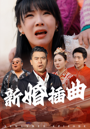 31.新婚插曲（29集）一共多少集