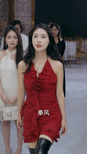 我的巅峰人生（97集）热播短剧排行榜