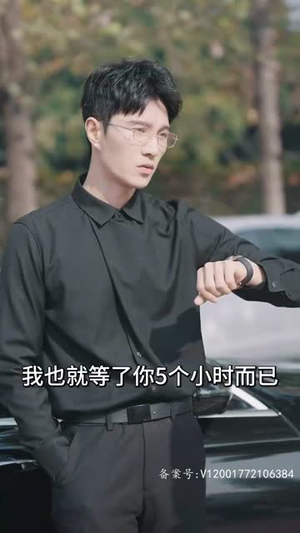 前妻乖巧人设崩了（100集）免费全集短剧