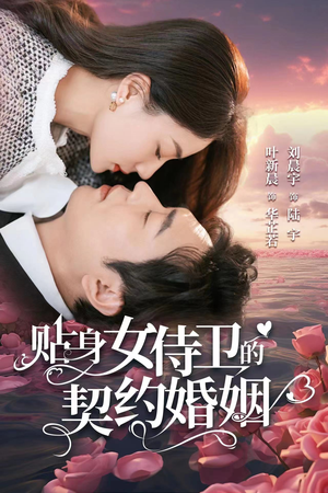贴身女侍卫的契约婚姻（91集）这部短剧太好看