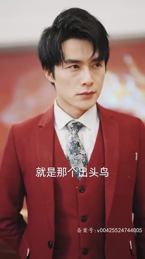 （玄门之主）视频在线看